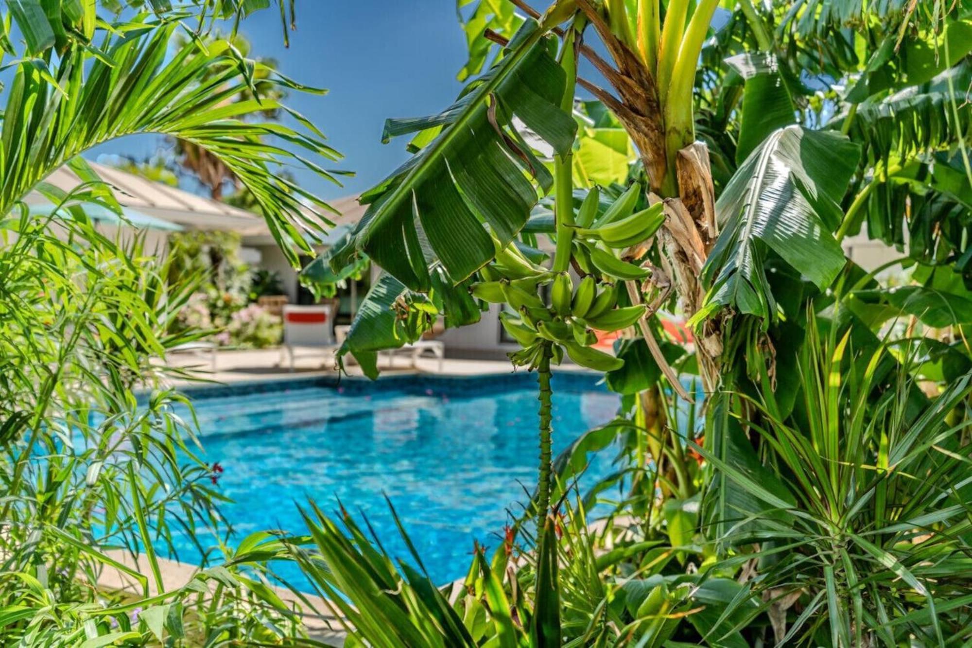 Royal Villa With A Huge Swimming Pool Cowell Battery Exteriör bild